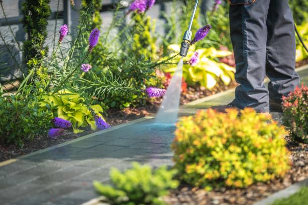 Best Parking Lot and Garage Cleaning  in Asbury Park, NJ