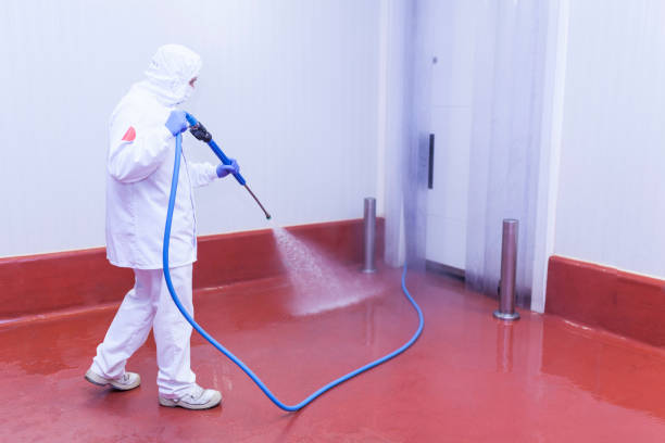 Best Rust Removal  in Asbury Park, NJ